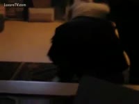 Animal XXX Video - Pet canine dildo enjoying tight pussy